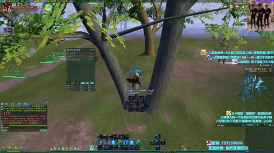 【柳木宿】猛练自然强 2019-11-28 18点场