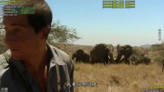 护法惊丶发布了一个斗鱼视频2019-11-29