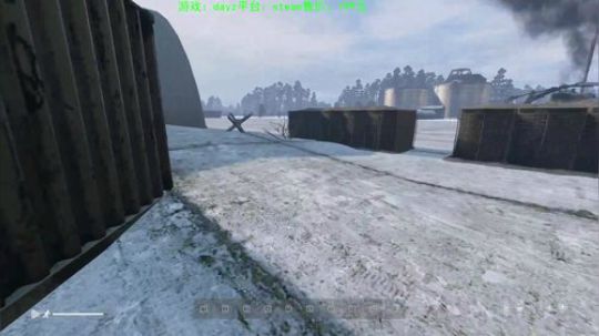 dayz 僵尸末日 2019-11-29 01点场