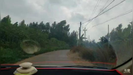 早上六点半，赶海！！！ 2019-11-30 10点场