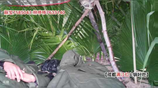 大咖海岸求生记(≧ω≦)/ 2019-11-30 05点场