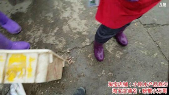 丿Good丶发布了一个斗鱼视频2019-11-30