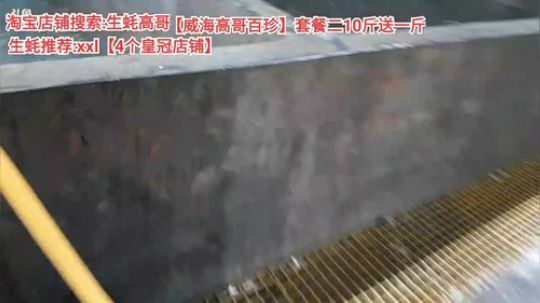 西北老狼哥哥发布了一个斗鱼视频2019-11-30