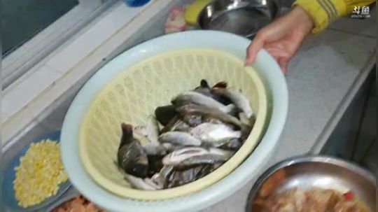 硇洲岛打野第一步，抽海！ 2019-11-30 18点场