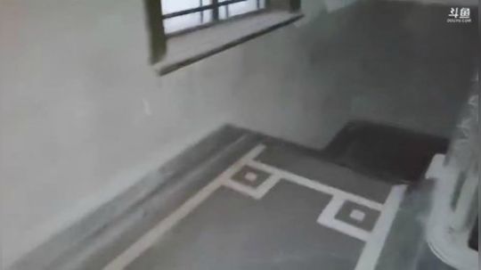 肖淑洁生命中的光和盐发布了一个斗鱼视频2019-11-30