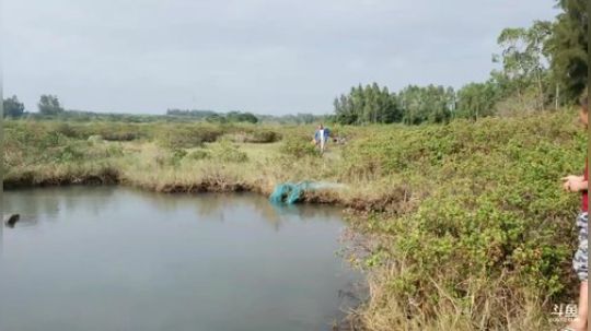 硇洲岛打野第一步，抽海！ 2019-11-30 14点场
