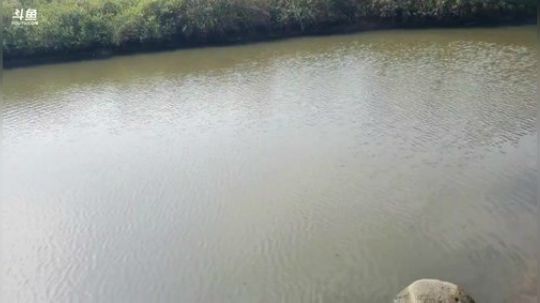 硇洲岛出海下网 2019-12-01 10点场