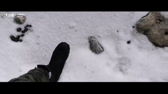 《暴走雪域高原》