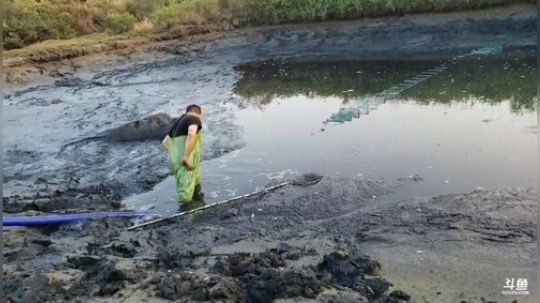 硇洲岛出海下网 2019-12-01 16点场