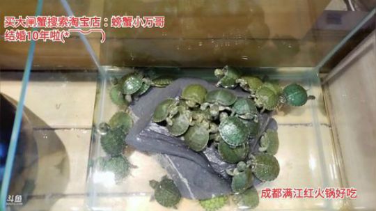 好爸爸的一天(≧ω≦)/ 2019-12-01 14点场