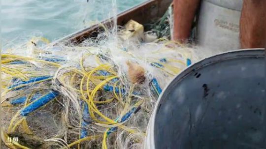 硇洲岛出海下网 2019-12-01 12点场