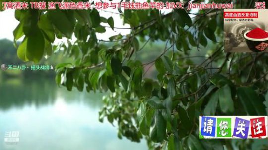 我在斗鱼看贱贱钓鱼直播乡野