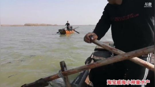 科头溜子发布了一个斗鱼视频2019-12-02