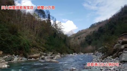 到家了陇东 2019-12-02 11点场