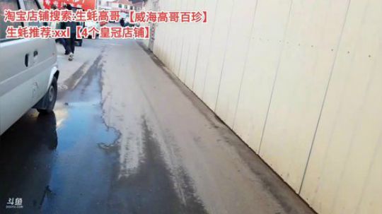 西北老狼哥哥发布了一个斗鱼视频2019-12-03