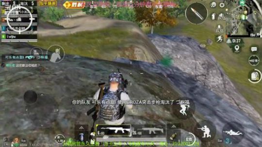 可爱的小灰灰带粉混分！ 2019-12-01 11点场