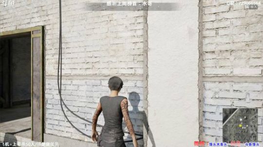 馒头：多个TPP单排前十 2019-11-25 05点场