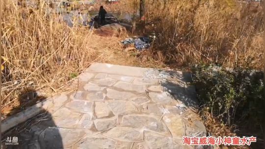 科头溜子发布了一个斗鱼视频2019-12-03