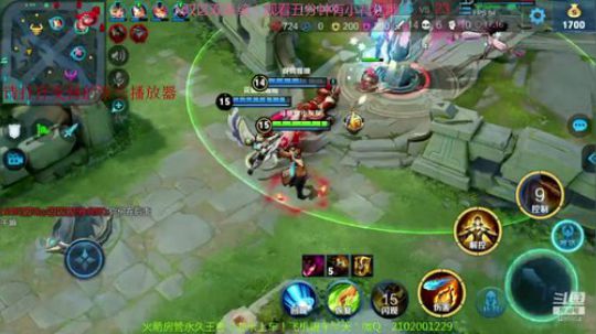 可爱的小灰灰带粉混分！ 2019-11-30 21点场