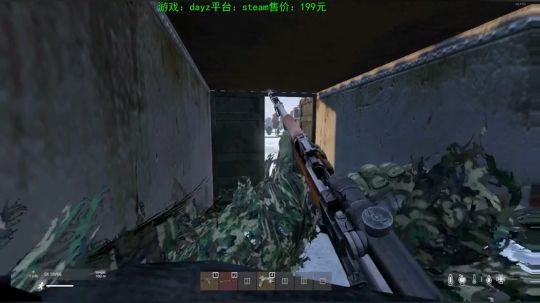 dayz 僵尸末日 2019-12-02 16点场