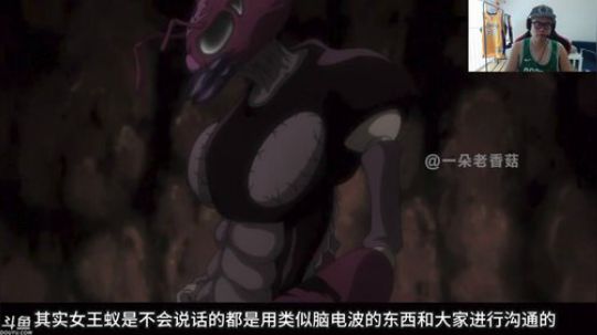 来看开心就完事了。 2019-12-03 11点场