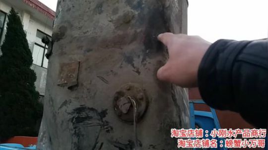 风里雨里，海鲜走起。 2019-12-03 16点场