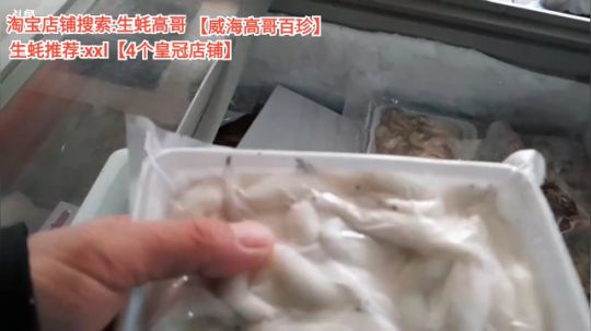 西北老狼哥哥发布了一个斗鱼视频2019-12-04