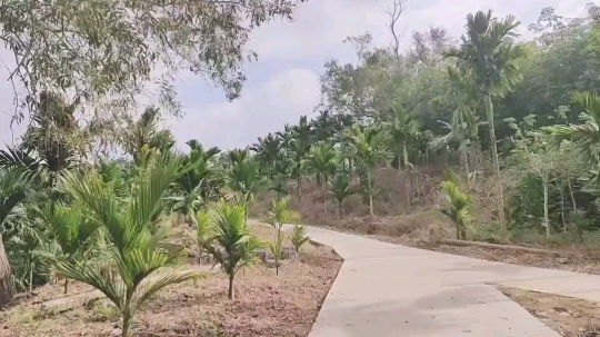 以后日常vlog都发在微博上，大家关注下微博