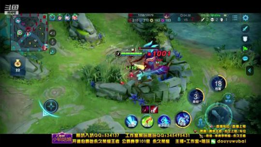 我在斗鱼看渝万五百狸子3岁直播王者荣耀