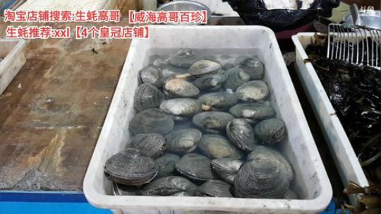 西北老狼哥哥发布了一个斗鱼视频2019-12-04