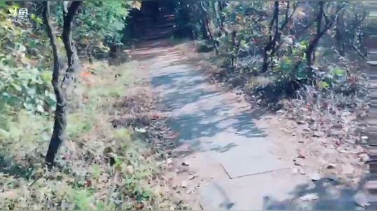 陈老师登山户外