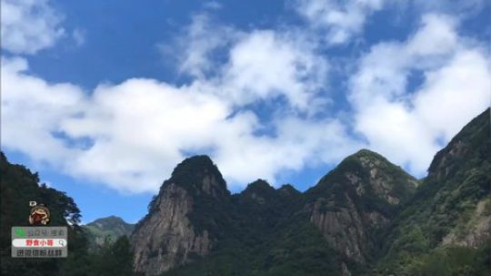 我在斗鱼看野食小哥直播美食