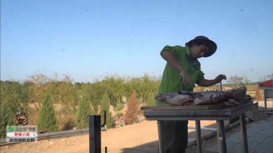 我在斗鱼看野食小哥直播美食