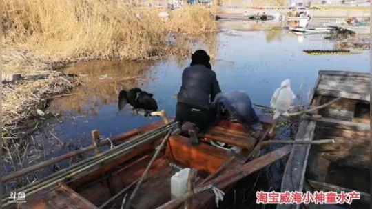科头溜子发布了一个斗鱼视频2019-12-05