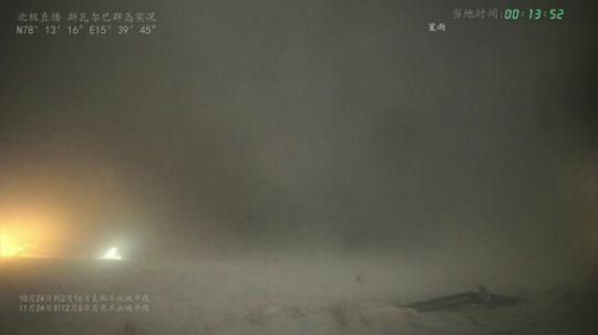 根本阿呆发布了一个斗鱼视频2019-12-05