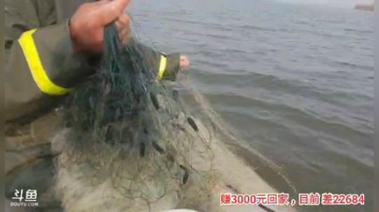 十一郎君01发布了一个斗鱼视频2019-12-06