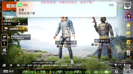 可爱的小灰灰带粉混分！ 2019-12-05 19点场