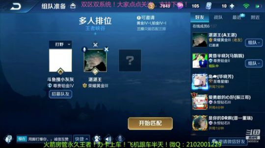 可爱的小灰灰带粉混分！ 2019-12-05 21点场