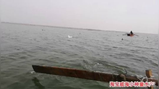 科头溜子发布了一个斗鱼视频2019-12-06