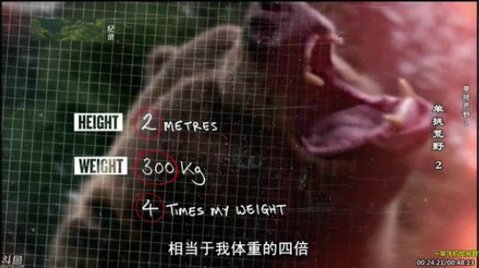 静思世语发布了一个斗鱼视频2019-12-07