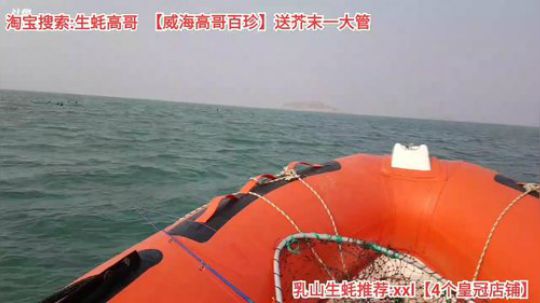 科头溜子发布了一个斗鱼视频2019-12-07