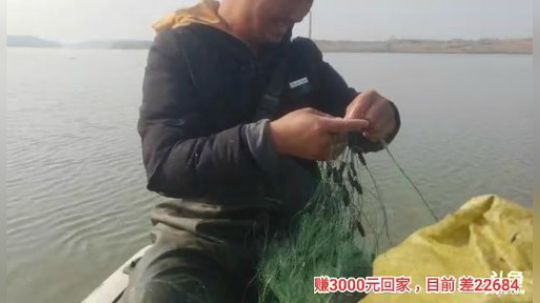 十一郎君01发布了一个斗鱼视频2019-12-07