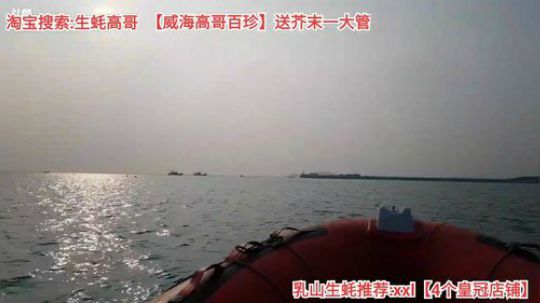 龙马精神丶老狼哥发布了一个斗鱼视频2019-12-07