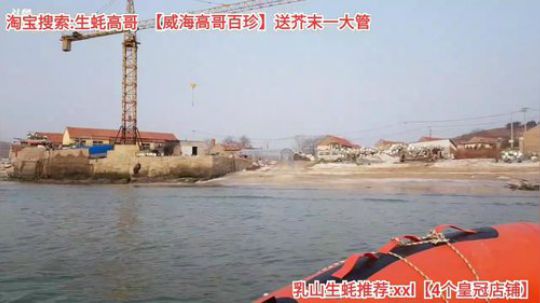 龙马精神丶老狼哥发布了一个斗鱼视频2019-12-07