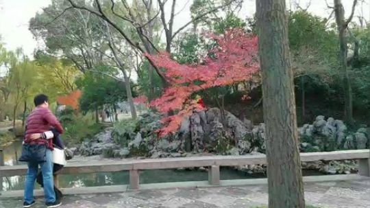 烙铁扎心了发布了一个斗鱼视频2019-12-08