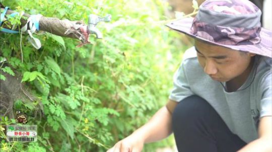 我在斗鱼看野食小哥直播美食