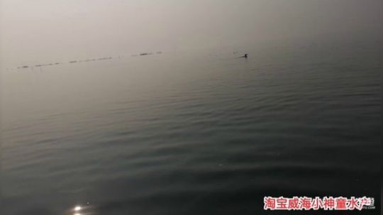 科头溜子发布了一个斗鱼视频2019-12-08