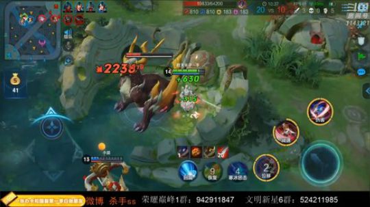 我在斗鱼看不可一世杀手直播王者荣耀