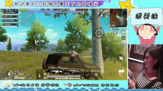 海岛第一美人，在线猪叫～ 2019-11-30 22点场