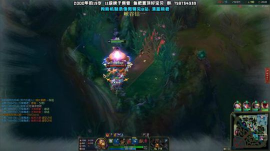 上单熊 峡谷之巅 钻一渡劫 2019-12-09 20点场